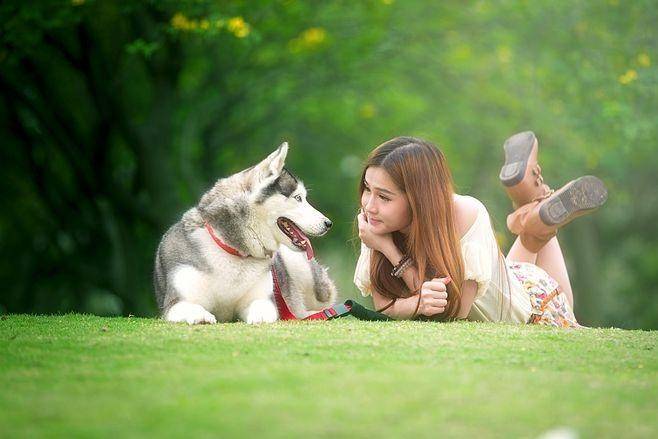 链分析：现状、痛点、需求、趋势AG真人平台宠物食品行业产业(图1)
