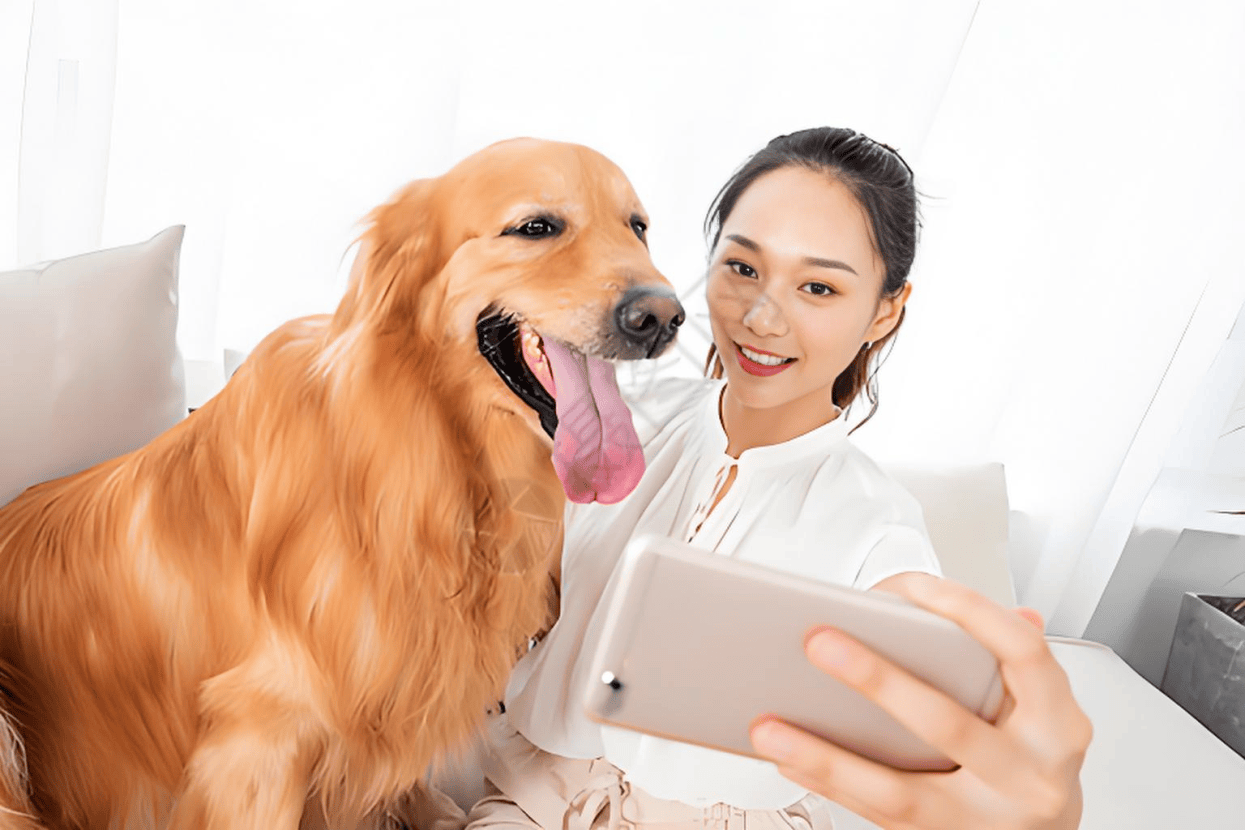 链分析：现状、痛点、需求、趋势AG真人平台宠物食品行业产业(图2)