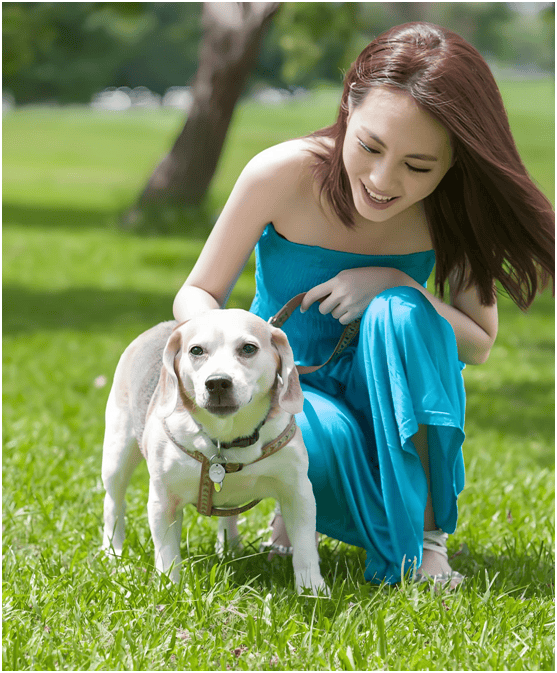 链分析：现状、痛点、需求、趋势AG真人平台宠物食品行业产业(图3)