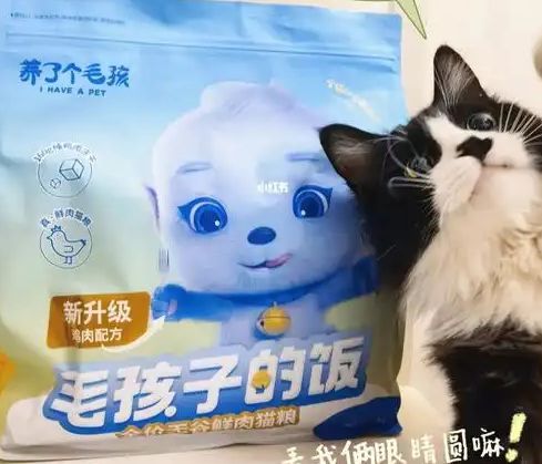 粮！三只松鼠靠什么重返宠物食品赛道AG真人国际厅零食巨头盯上毛孩子口(图1)
